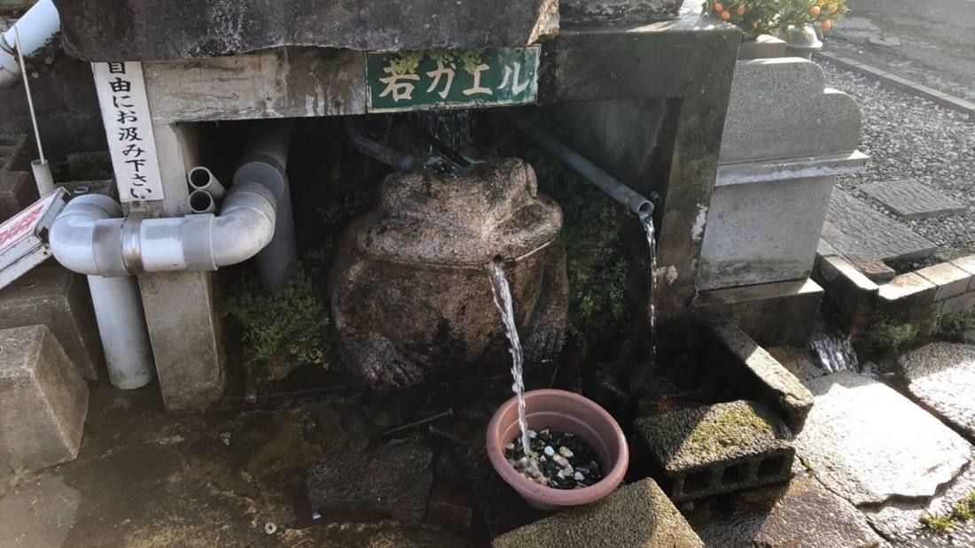 おいしい湧き水